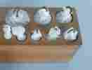 311700 Eisco New Brass Set Of 8 Hooked Physics Weights 10g To 500g Grams
