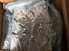 3523-5 Thermo Scientific Erlenmeyer Flask