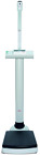 4012030012140 Seca Scales 360 Wireless
