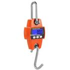 710120253209 Unbranded 300kg 600lb Lcd