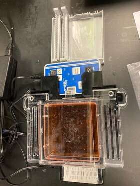 E1201 Accuris Mygel Instaview Complete Electrophoresis System