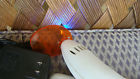 Demetron2 Curing Led Kerr Light Dental