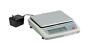 Ek-6100j Everest Compact Balance Jewelry Scale Ntep