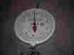 Mcs-20h Series Detecto 20lb Hanging Scale Only