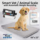 Zn-4422 Zenith Scales Vet Scale