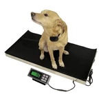 Lw Measurements Tree Lvs 700 Large Veterinary Scale. Fixed Price $731.95.