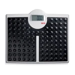 Seca 813 - High Capacity Digital Flat Scale For Individual Patient Use. Fixed Price $212.19.