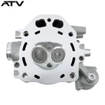 2009-2024 Cylinder Head Assembly For Honda TRX420 TRX500 SXS500M 12200-HP7-A01. Fixed Price $126.01.