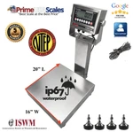 Prime OP-915SS Wash Down Bench Scale 16" X 20" 400 Lb Ntep Legal For Trade IP67. Fixed Price $765.00.
