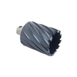 Walter 05B500 2 X In. Icecut Annular Core Cutter - Weldon Shank. Fixed Price $229.38.