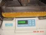 Olympic Infant Smart Scale Natus 60 Rapid Weight Model Accurate 1 GRAM-33LBS. Fixed Price $199.95.