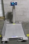 Mettler Toledo Deckmate 2888 Floor Scale 500 Lb Max W/ IND560 Weighing Terminal. Fixed Price $1499.99.