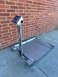 Mettler Toledo PUA669 Stainless Steel Scale 500 Lbs W/ 36" X Platform, Ramps. Fixed Price $3500.00.