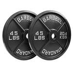 Steel Olympic Plates Pair - Premium Coated 2X 45LBS. Weights For 2IN Bars. Fixed Price $175.00.