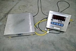 Gse Spx 194500-12122101 Platform Scale Stainless Steel 25KG Capacity. Fixed Price $439.99.