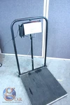 Health Meter Model Scale. Fixed Price $999.00.