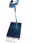 Cole-parmer IPSW-300 Washdown Industrial Bench Scale, Max. 300LBS, 150 Kg. Fixed Price $399.99.