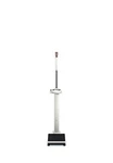 Seca 769 - Digital Column Scale With Bmi Function. Fixed Price $359.00.