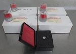 T199893 Lot (5) Troemner Calibration Weights 50G 10G 5G 1G 500MG 7021 7022 7025. Fixed Price $150.00.