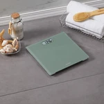 Taylor Glass Digital Bathroom Weight Scale With Sage Finish New Up To 350 Lbs. Fixed Price $13.88.