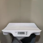 Rice Lake Rl-dbs Digital Baby Infant Neo Natal Weighing Scale. Fixed Price $30.00.