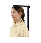 Detecto 3PHTROD-WM Wall Mt Height Mechanical Scale. Fixed Price $185.15.