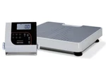 Rice Lake H150-10-7 Floor Level Physician Scale. Fixed Price $133.33.