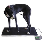 Lw Measurements Tree Lvs 700 Xl Veterinary Scale. Fixed Price $552.95.