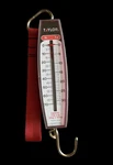 New Taylor 3070 70LB Industrial Hanging Scale With Hook. Fixed Price $5.99.