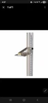 Healthometer Portrod Wall Mount Height. Fixed Price $82.00.