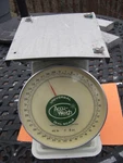 Accu-weigh Dial Scale, Range: 0-40 Lbs., Top Dimensions: 7.5" X. Fixed Price $38.00.