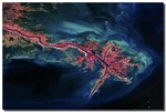 Mississippi River Delta - Stunning Image With Magnetic Float Mount Display. Fixed Price $95.00.