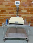Avery Weigh-tronix Model 3275 Checkweigher W/ Bs Diamond Series Bench Scale Base. Fixed Price $299.99.