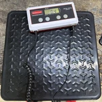 Rubbermaid Commercial Products FG401088 Digital Food Service Scale, 150 Lbs. Fixed Price $70.00.