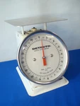 Detecto Scale Comany PT-1 Top Loading 16 Oz X 1/4 Made Taiwan Dial. Fixed Price $19.99.